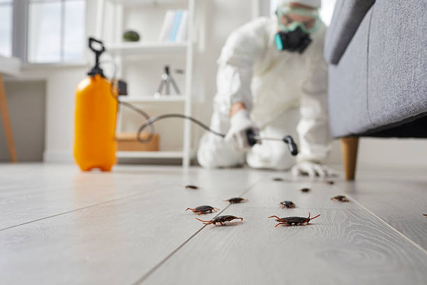 Commercial Kitchen Cockroach Control in Drexel
